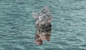 verso “La costa analoga”